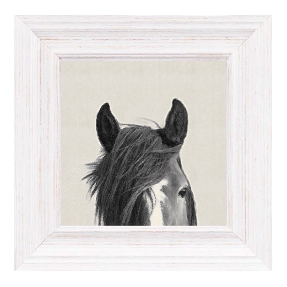 Anthropologie Other - Peek-A-Boo Horse Wall Art